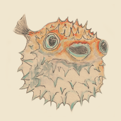 Illustration poisson piques